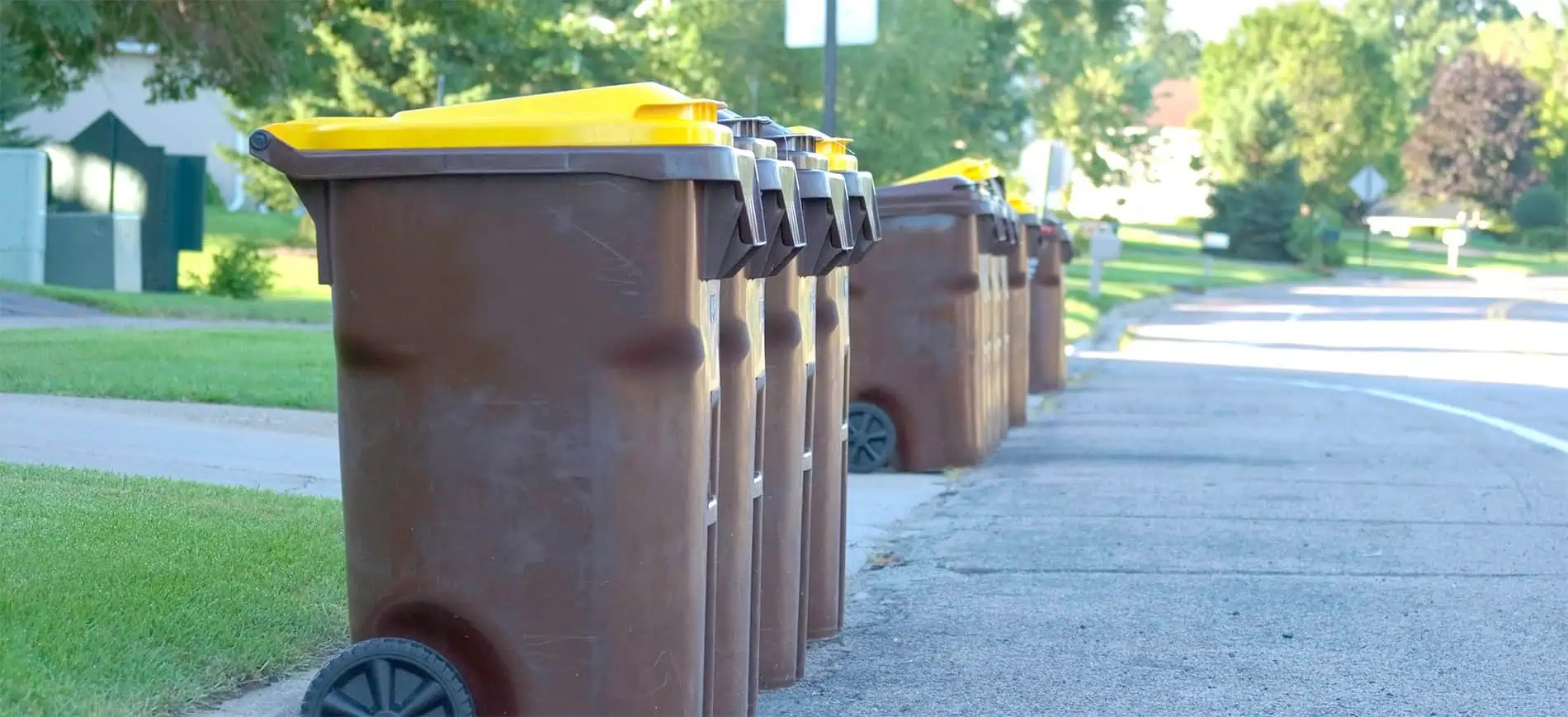 Trash bins on street
